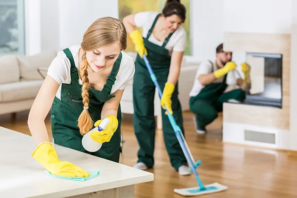 Professional Cleaning Services