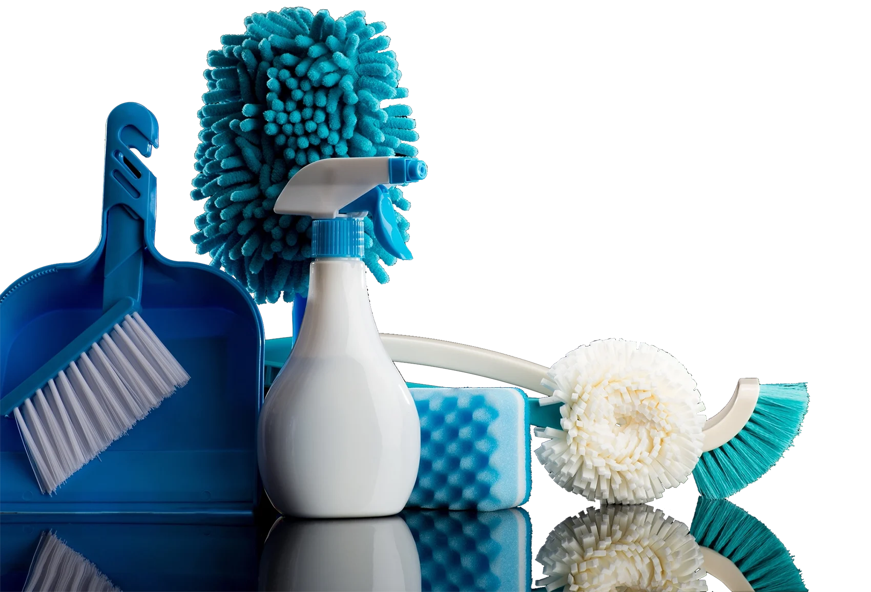 Professional Cleaning Services